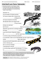 Vorschau - Arbeitsblätter - Arbeitsblatt "Salamander" + Onlineübung & MP3 + Mindmap + Infografik - Deckblatt