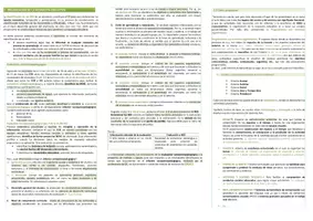 Vista previa - Evaluación - Oposiciones Pedagogía Terapéutica: esquema tema 24 - página 3