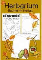 Vorschau - Arbeitsblätter - Herbarium - herbstliche Laubbäume - Deckblatt