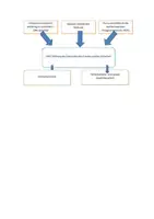 Vorschau - Arbeitsblätter - Die UNO - "Die UNO - Reformunfähiges Verwaltungsmonstrum oder wichtige weltpolitische Institution?" Arbeitsblatt zur Selbsterarbeitung: Geschichte, Organik, Milleniumsziele, Sustainable Development Goals (SDG) - Seite 1