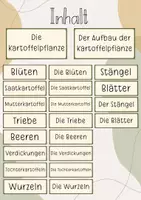 Vorschau - Stundenentwürfe - XL Materialpaket: Die Kartoffel - Seite 2