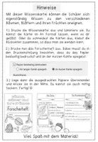 Vorschau - Unterrichtsreihen - Bäume - Blätter und ihre Früchte - Wissenskartei und Forscherheft - Seite 1