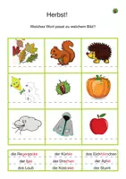 Vorschau - Arbeitsblätter - Rätselspaß im Herbst! Rätseln, knobeln, Wahrnehmung schulen. Dreifach differenziert. - Seite 2
