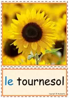 Vorschau - Poster - Bild- und Wortkarten zum Thema Herbst (Französisch) - Seite 3