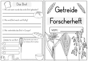 Vorschau - Unterrichtsreihen - Getreide - Wissenskartei und Forscherheft - vom Korn zum Brot - Seite 2