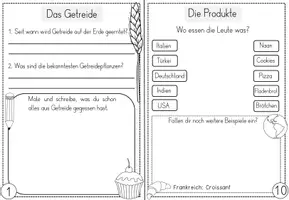 Vorschau - Unterrichtsreihen - Getreide - Wissenskartei und Forscherheft - vom Korn zum Brot - Seite 3