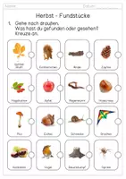 Vorschau - Arbeitsblätter - Herbst: Fundstücke - Spaziergang - Bingo - Zählen - Strichliste - Seite 1