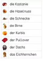 Vorschau - Bildkarten - Herbst: Wortkarten - Wortstreifen - Silbenschrift - Schreibschrift - Fotos - Seite 1