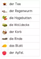 Vorschau - Bildkarten - Herbst: Wortkarten - Wortstreifen - Silbenschrift - Schreibschrift - Fotos - Seite 2