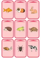 Vorschau - Spiele - Spielkarten Silbenanzahl Tiere 1. Klasse - Seite 3