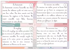 Aperçu - Cartes d'exercices - Atelier de copie (Thème protection de la nature) - Page 2