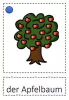 Vorschau - Bildkarten - Herbst Bild- und Wortkarten - Seite 2