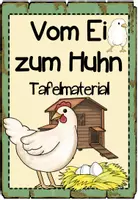 Vorschau - Poster - Tafelmaterial "Vom Ei zum Huhn" - Deckblatt