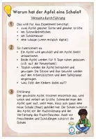 Vorschau - Arbeitsblätter - Apfel | Experiment: Funktion der Apfelschale | Arbeitsblätter & Tafelmaterial - Seite 1