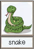 Vorschau - Bildkarten - ZOO ANIMALS / Zootiere – Bild- & Wortkarten für Englisch | Flashcards - Seite 3