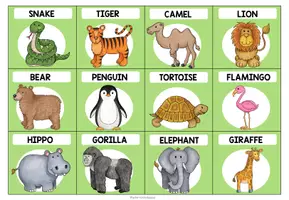 Vorschau - Spiele - ZOO ANIMALS - Guessing Game - Seite 3