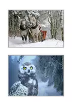 Vorschau - Bildkarten - Fotokartei Winter - Seite 3