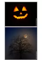 Vorschau - Fördermaterial/Inklusion - Fotokartei Halloween - Seite 1