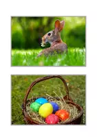 Vorschau - Fördermaterial/Inklusion - Fotokartei Ostern - Seite 1