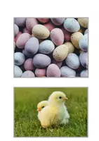 Vorschau - Fördermaterial/Inklusion - Fotokartei Ostern - Seite 2