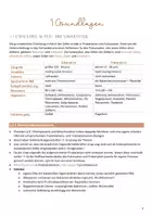 Vorschau - Merkblätter - Botanik - Staatsexamensskript Biologie - Seite 3