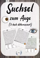 Vorschau - Arbeitsblätter - Materialpaket: Auge - Seite 1