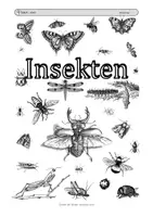 Vorschau - Mal- und Bastelvorlagen - Cover Thema Insekten - Seite 3