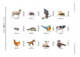 Vorschau - Spiele - Lesedomino Tiere 1 - Leseanfang - Wortschatzaufbau - Seite 2