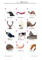 Vorschau - Spiele - Bingo Körperteile der Tiere 2 - Wortschatzerweiterung - Seite 2