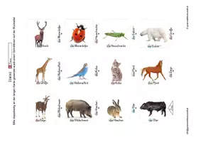Vorschau - Spiele - Lesedomino Tiere 3 - Wortschatzerweiterung - Seite 2