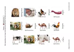Vorschau - Spiele - Lesedomino - Körperteile Tiere 2 - Erweiterung - Seite 2