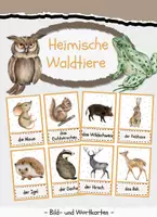 Vorschau - Poster - Heimische Waldtiere Flashkarten / Tafelmaterial - Deckblatt