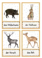 Vorschau - Poster - Heimische Waldtiere Flashkarten / Tafelmaterial - Seite 2
