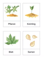 Vorschau - Arbeitsblätter - Herbstliche Arbeitsblätter rund um das Thema Kürbis - Seite 3