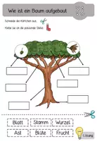 Vorschau - Arbeitsblätter - Aufbau eines Baumes - Seite 2