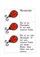 Vorschau - Unterrichtsreihen - Differenziertes Lesen Frühling - Klasse 1/2 - Seite 1