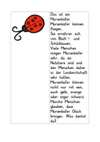 Vorschau - Unterrichtsreihen - Differenziertes Lesen Frühling - Klasse 1/2 - Seite 2