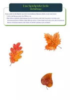 Vorschau - Arbeitsblätter - SE017- Aktionsblatt- Herbstblattbingo - Deckblatt