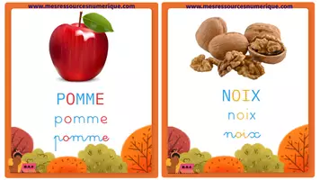 Aperçu - Apprentissages en autonomie - Cartes langage - imagier automne (OFFERT) - Page 2