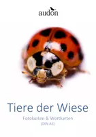 Vorschau - Fördermaterial/Inklusion - DaZ Wortschatz Wiese - Deckblatt