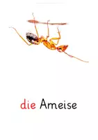 Vorschau - Fördermaterial/Inklusion - DaZ Wortschatz Wiese - Seite 3