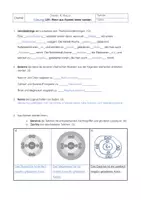 Vorschau - Test - LEK Ionenbindung - Vom Atom zum Ion 8. Klasse Chemie - Seite 2