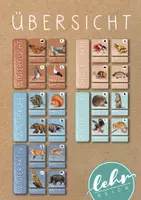 Vorschau - Spiele - Bildkarten - Tiere im Winter - Tafelmaterial - Seite 1