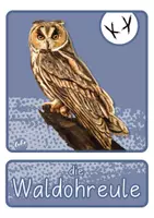 Vorschau - Spiele - Bildkarten - Tiere im Winter - Tafelmaterial - Seite 3