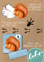 Vorschau - Bildkarten - Cliparts Tiere im Winter - Ausmalbilder - Bildkarten - Seite 1