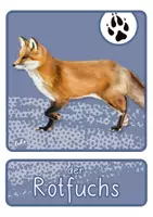 Vorschau - Bildkarten - Cliparts Tiere im Winter - Ausmalbilder - Bildkarten - Seite 3