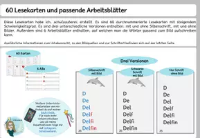 Vorschau - Fördermaterial/Inklusion - 60 Lesekarten Buchstabe für Buchstabe + 6 ABs - Seite 1