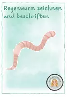 Vorschau - Arbeitsblätter - Regenwurm zeichnen und beschriften - Deckblatt