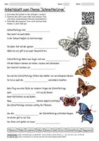 Vorschau - Arbeitsblätter - Arbeitsblatt "Schmetterlinge" + Onlineübung & MP3 + Mindmap + Infografik - Deckblatt