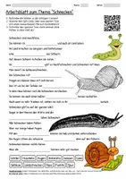 Vorschau - Arbeitsblätter - Lernposter + Arbeitsblatt "Schnecken" + Onlineübung & MP3 + Mindmap + Infografik - Seite 1